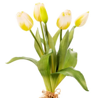 Tulipani Natural Touch Vari Colori