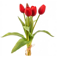 Tulipani Natural Touch Vari Colori