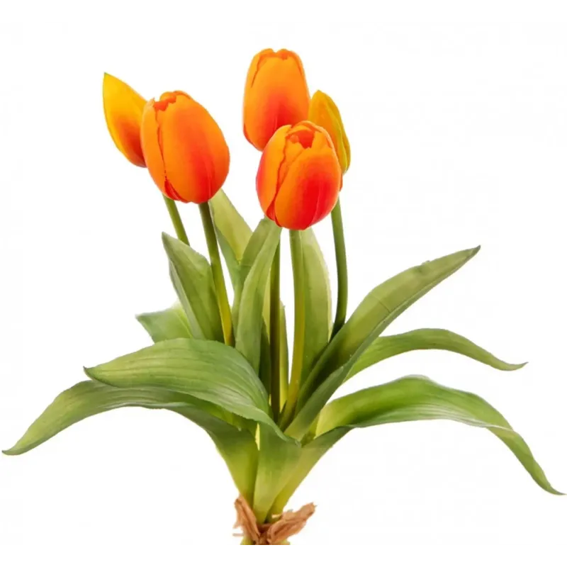 Tulipani Natural Touch Vari Colori