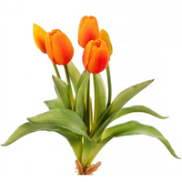 Tulipani Natural Touch Vari Colori
