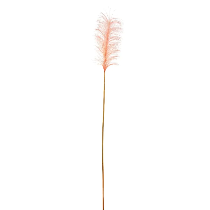 Pampas cm 148 Vari Colori