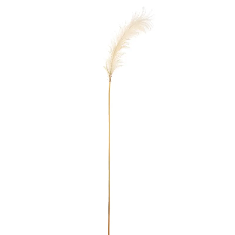 Pampas cm 148 Vari Colori
