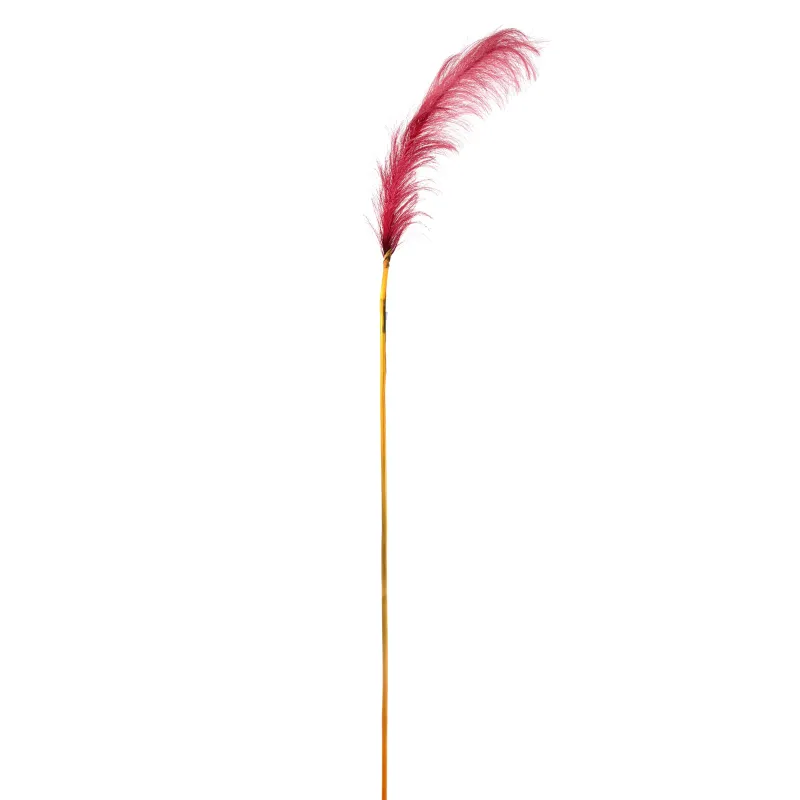 Pampas cm 148 Vari Colori