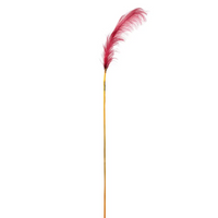Pampas cm 148 Vari Colori