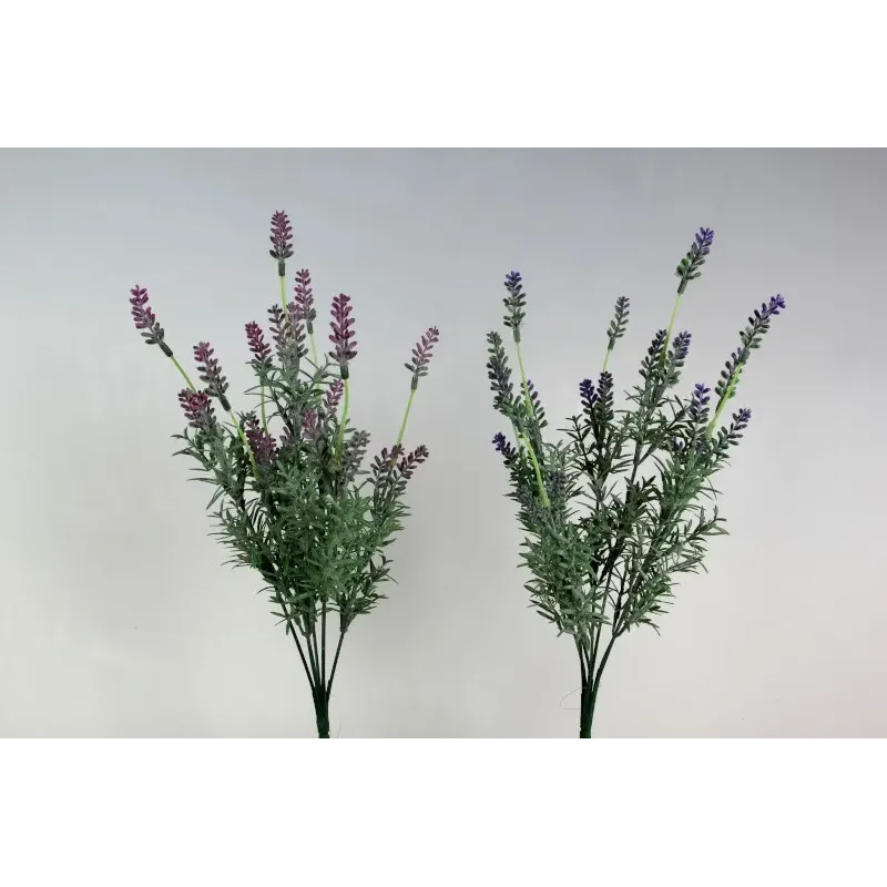 Cespuglio Lavanda h 40 cm, ideale per decorazione ed allestimenti