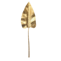 Foglia Lunga Filodendro Oro Cm.100